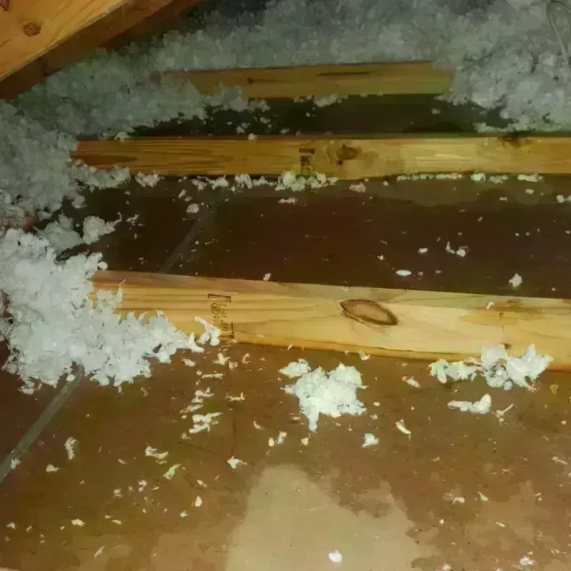 Attic Water Damage in Transylvania County, NC